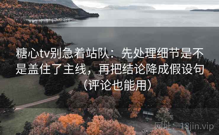 糖心tv别急着站队:先处理细节是不是盖住了主线,再把结论降成假设句(评论也能用)